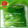 pakchoi cabbage frozen cabbage Fresh vegetable high grade products on sale